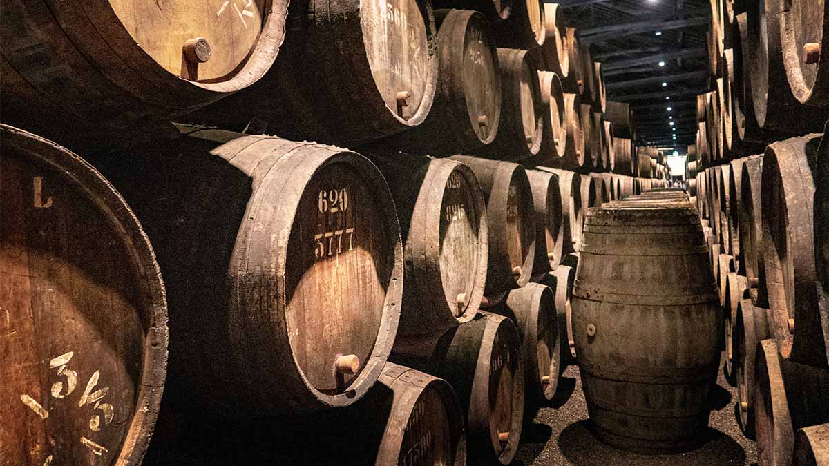 Porto galeria 2 Vinho